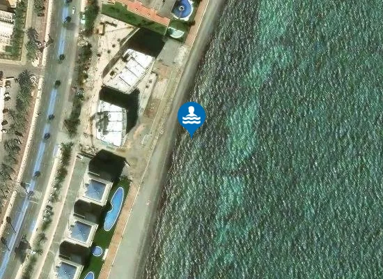 Satellite image of Playa del Pudrimel