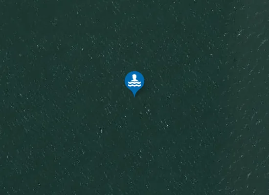 Satellite image of Playa del Perdigal