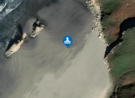 Satellite image of Playa de Requexinos