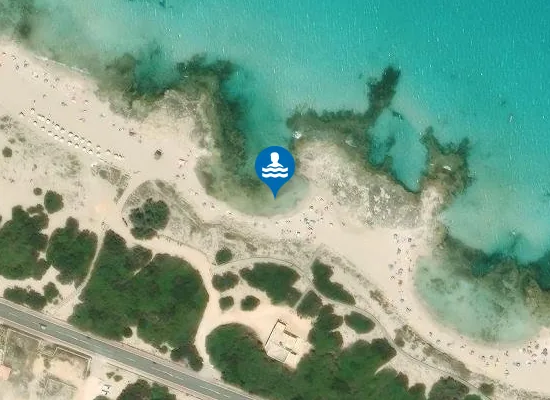 Satellite image of Platja Ses Platetes