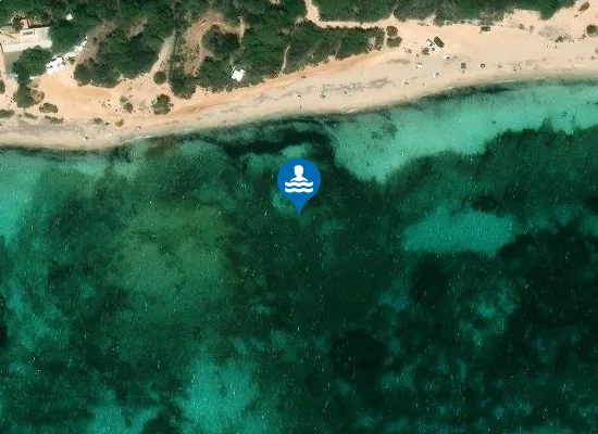 Satellite image of Platja de Migjorn