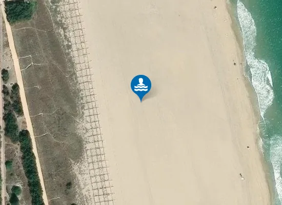 Satellite image of Platja de l'Arbre del Gos