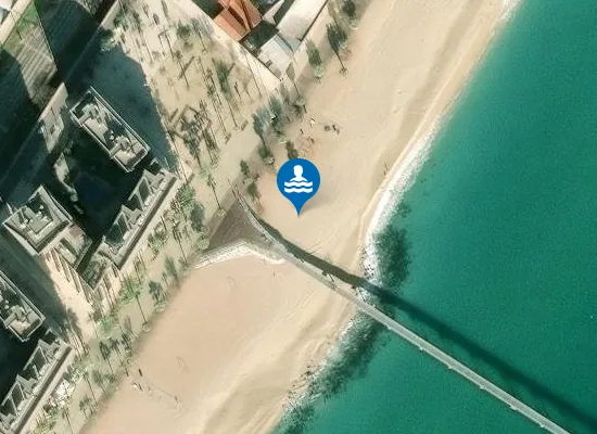 Satellite image of Platja Pont del Petroli