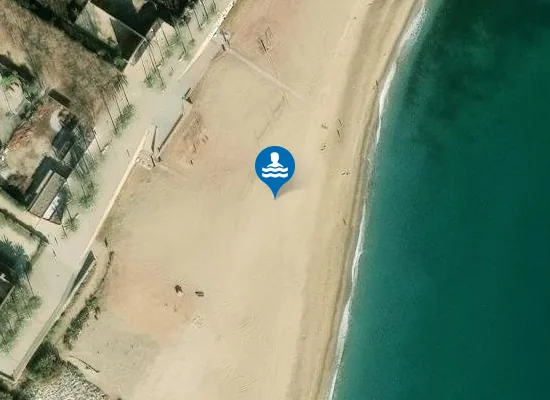 Satellite image of Platja del Litoral