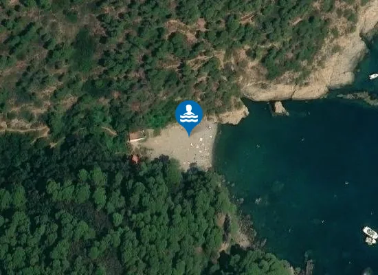 Satellite image of Cala Pedrosa