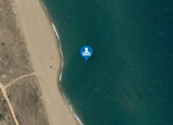 Satellite image of Platja de Pals