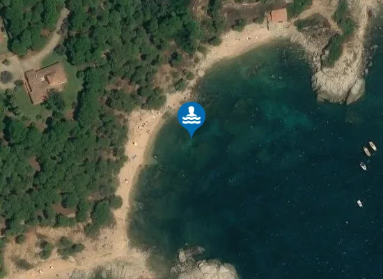 Satellite image of Cala del Cap de Planes
