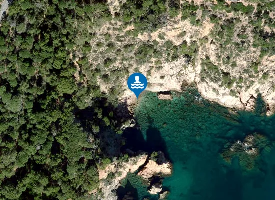 Satellite image of Sot d'en Boada