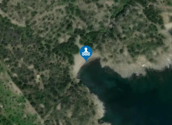 Satellite image of Platja d'en Noues