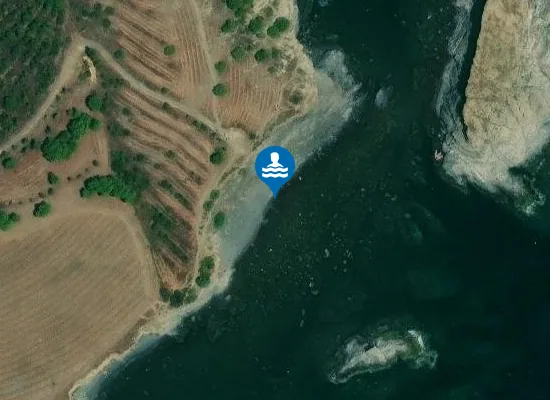 Satellite image of Platja d'en Carbassó
