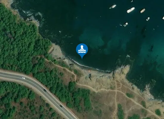 Satellite image of Platja de Sota d'en Navata