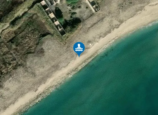Satellite image of Platja de La Ricarda Ca l'Arana