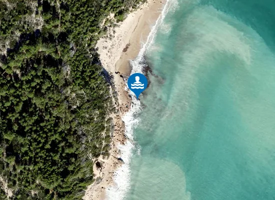 Satellite image of Platja de Cala Ronyosa