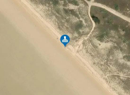 Satellite image of Plage naturiste des Salins