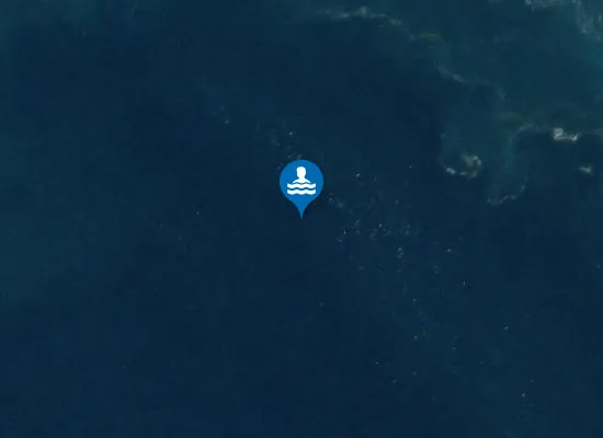 Satellite image of Plage de L'Étang-Salé