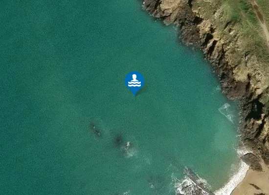 Satellite image of Crique du Fort