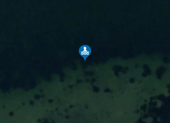 Satellite image of ANDKÆR VIG