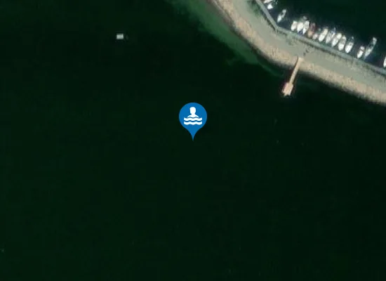 Satellite image of HØRBY VEST