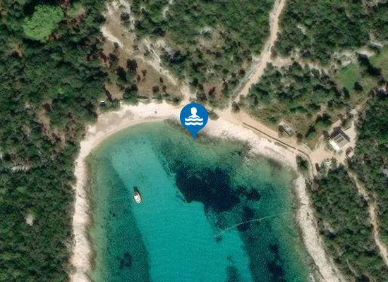 Satellite image of Plieski