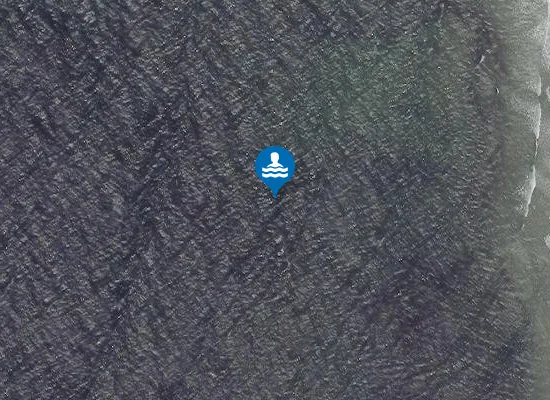 Satellite image of Seafield West Beach