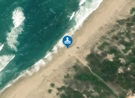 Satellite image of Dog Beach