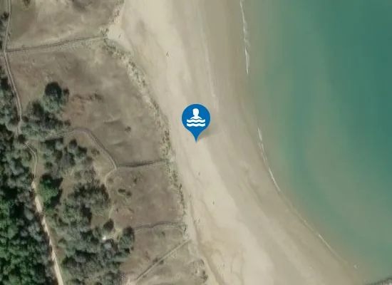 Satellite image of Spiaggia libera dog friendly