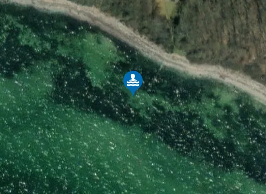 Satellite image of ASNÆS FORSKOV