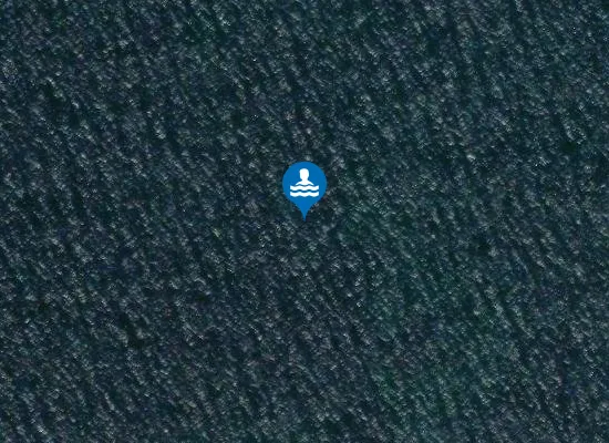 Satellite image of Spiaggia di Arborea