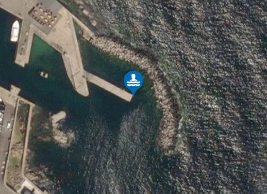 Satellite image of SVANEKE HAVN