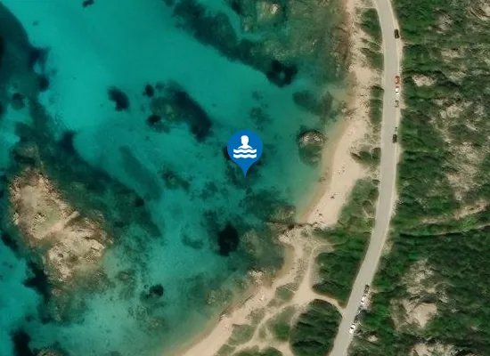 Satellite image of Spiaggia del cardellino