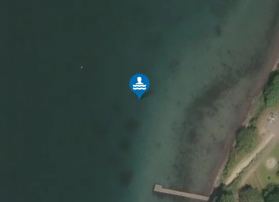 Satellite image of DET MARINE CENTER - SKIVEDEPOTET