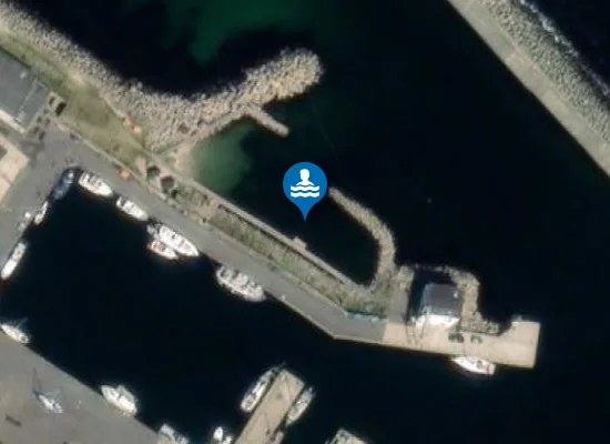 Satellite image of TEJN HAVN, ISVÆRKET