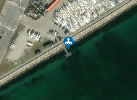 Satellite image of SKOVSHOVED SYD