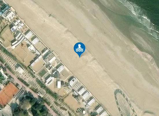 Satellite image of b.81