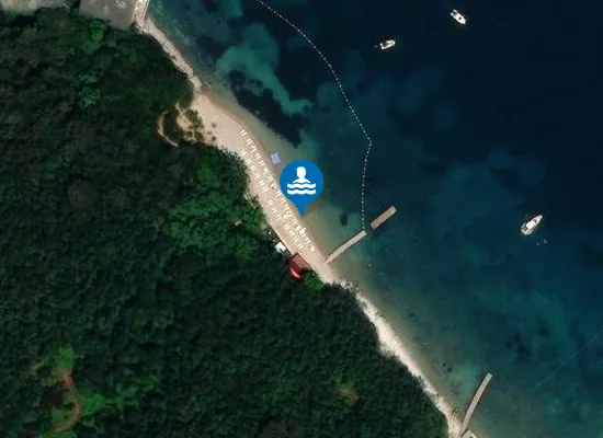 Satellite image of Laguna beach