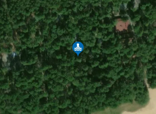Satellite image of Leśna Ryba