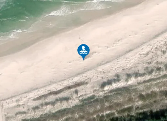 Satellite image of Plaża dla zwierząt