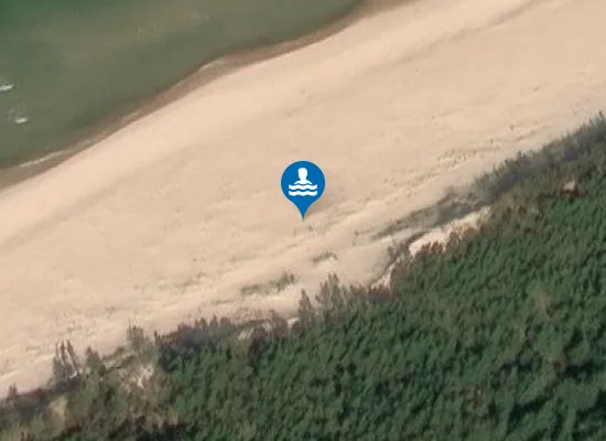 Satellite image of Zatopiony las koło Czołpina