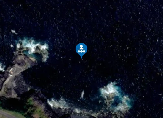 Satellite image of Porto do Salão