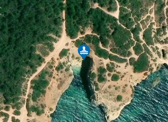 Satellite image of Praia do Cão Raivoso