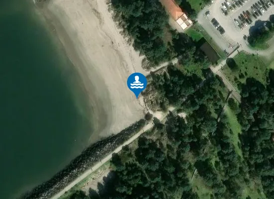 Satellite image of Praia do Aquário