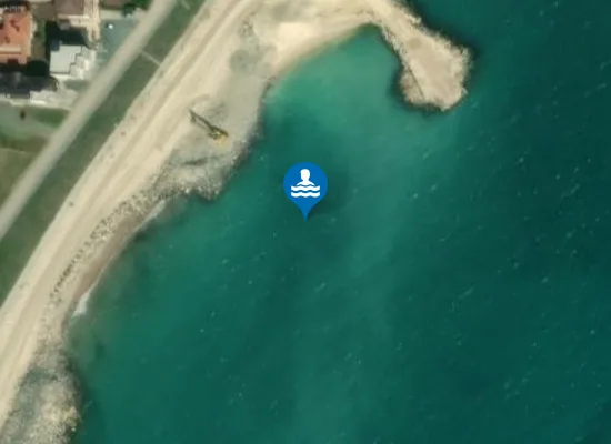 Satellite image of Plaja Costinești