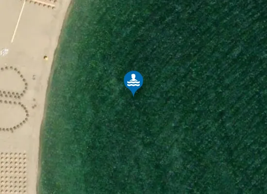 Satellite image of Plaja Trei Papuci