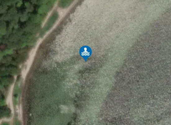 Satellite image of DYREBORG SKOV