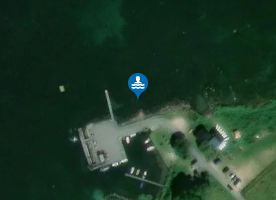 Satellite image of BOGØ, SKÅNINGSBRO