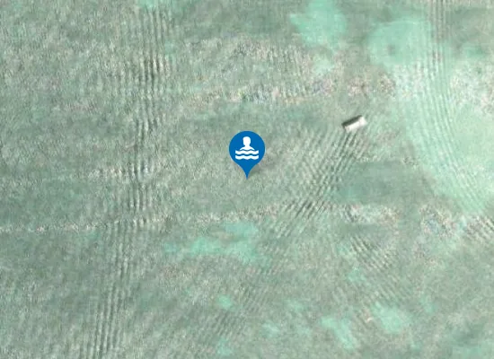 Satellite image of Palm Beach
