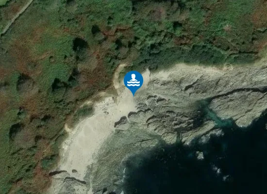Satellite image of Arthur's Beach (Sunny Cove)
