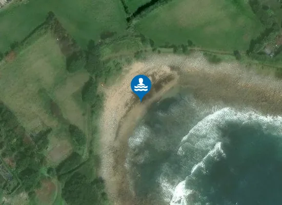 Satellite image of Porth Minick