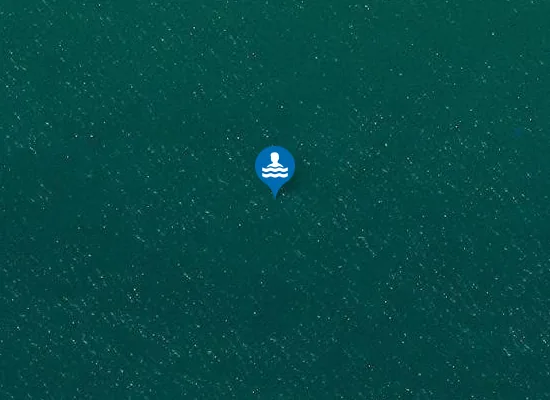 Satellite image of Brighton Beach
