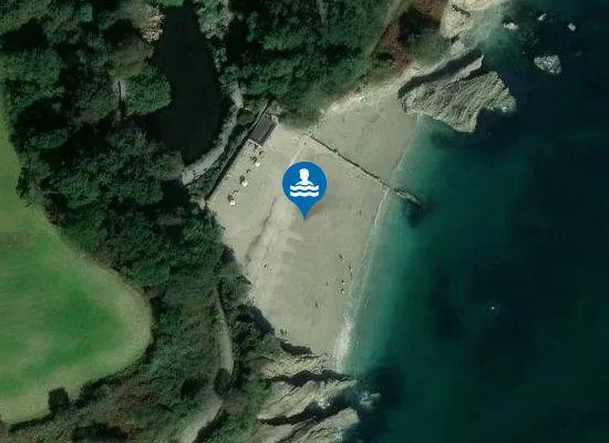 Satellite image of Trebah